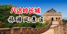 大鸡巴操小骚逼亚洲无码簧片中国北京-八达岭长城旅游风景区
